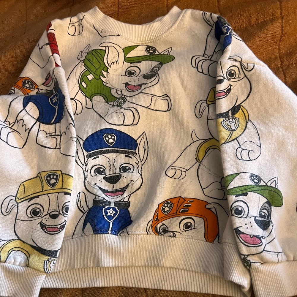 Zara toddler boy Paw Patrol Size 3-4T sweatshirt